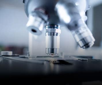 Study in Canada | Best Scholarship Opportunities | Easy VISA Process