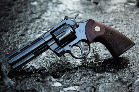 Image result for 2020 Python Revolver