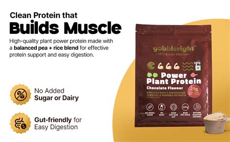 GOBBLERIGHT Power Plant Based Protein Powder Chocolate 500g | 25g ...