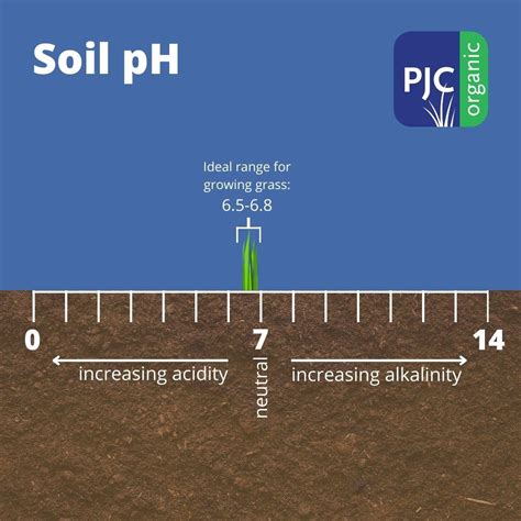 What is Soil Compaction? - PJC Organic