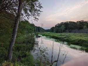 Top 20 things to do in West olive (Updated Apr 2025)