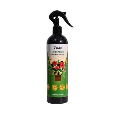 Buy Effective Mealybug Spray: An Eco-friendly & Natural Insecticide for ...