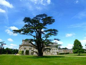 Wilton House: From King Egbert to Henry VIII, followed by 18 earls of ...