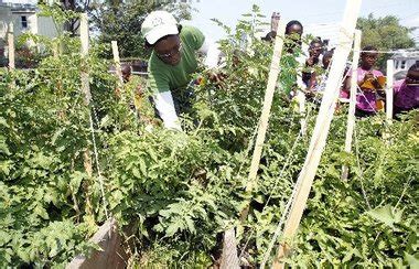 Community gardens sprout in Irvington thanks to residents' hard work ...