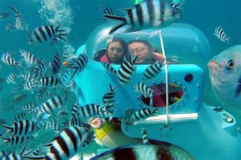 Blue Safari Submarines In Mauritius: A Guide For Tourists