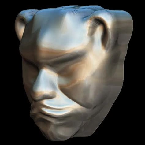 Tiger Face Structure 3D Model
