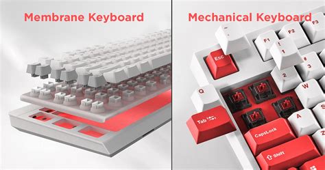 Mechanical vs Membrane Keyboards [A Clear Winner?]