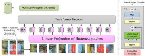 Transformer Encoder/Decoder Bert GPT 的图像结果