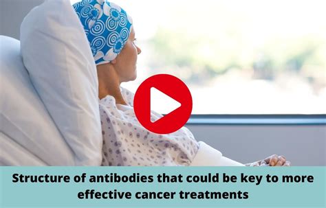 Scientists analyze antibodies structure that could be key to combat cancer