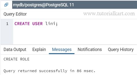 How to Create a User in Postgres 的图像结果