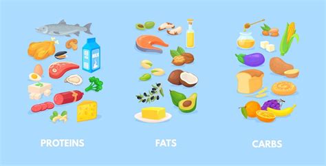 Image result for Macronutrients Graphics
