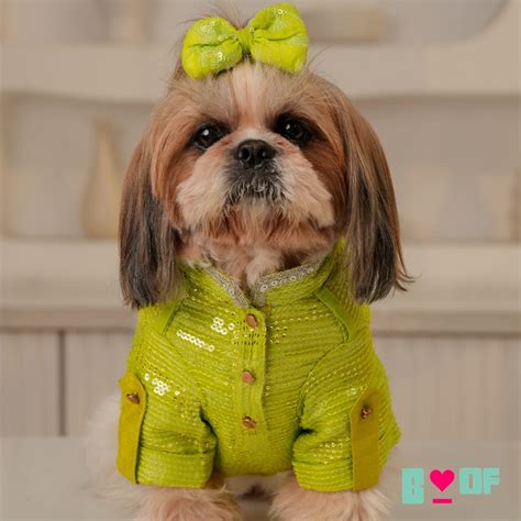 LIGHT GREEN SEQUINS DOG KURTA