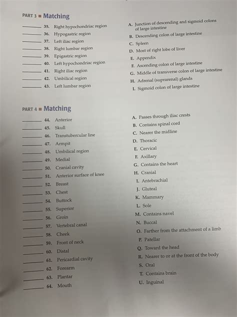 Left Hypochondriac Region