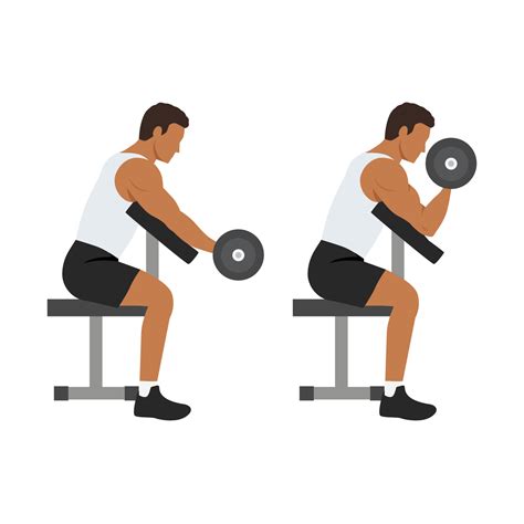 Dumbbell Preacher Curls