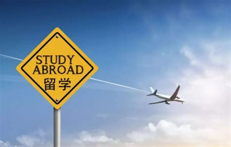为什么依竹留学可以称为最好的出国留学机构-依竹留学