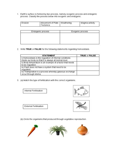 Model Paper Science 的图像结果