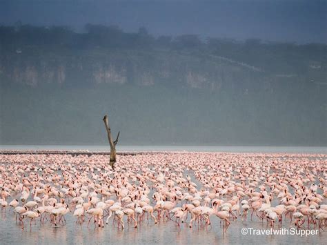 Travel With Supper Photography