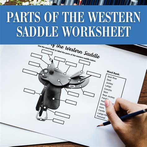 Parts of the Horses Western Saddle | Horse Tack Equipment Label ...