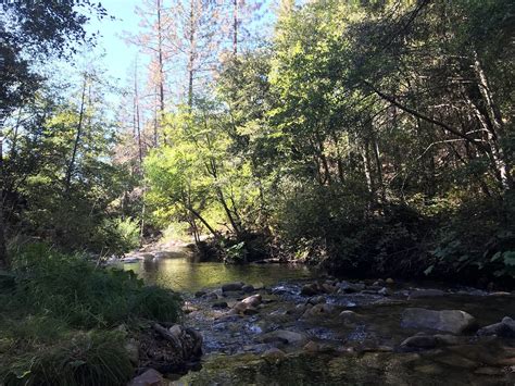 WILLOW CREEK TRAIL (Bass Lake): Ce qu'il faut savoir pour votre visite ...