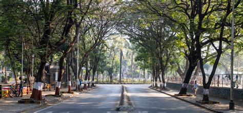 हम किसी से कम नहीं! मुंबई ने लगाए 4 लाख से अधिक पेड़, UN से मिला 'ट्री ...