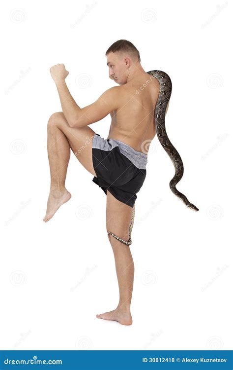 Image result for Python Snake Fight Snake