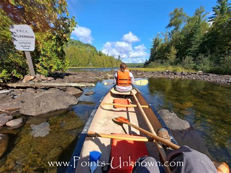 Surfer hit by 'big' creature after paddling out at closed beach: 'Unknown species'
