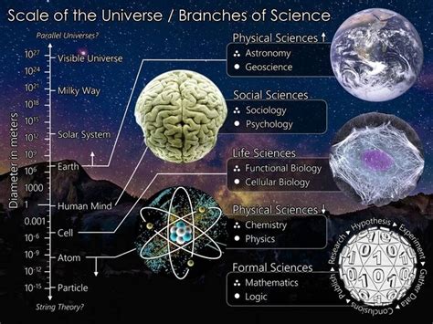 Branches of Science 的图像结果