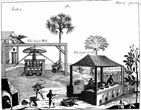 A Timeline of the Agricultural Revolution