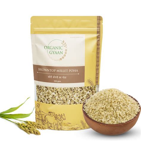 Browntop Millet Poha – Healthy, Gluten-Free & Nutritious – Organic Gyaan