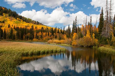 Silver Lake Campground Utah: Reservations Camping & Activities