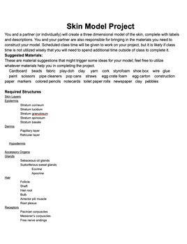 Skin Model 8th Class Science Project 的图像结果