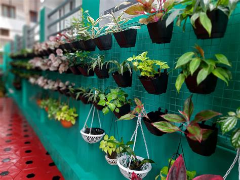 Which Way Is Vertical