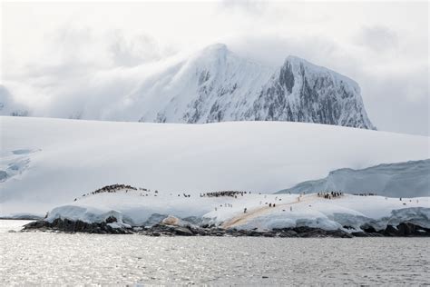 Weather In Antarctica