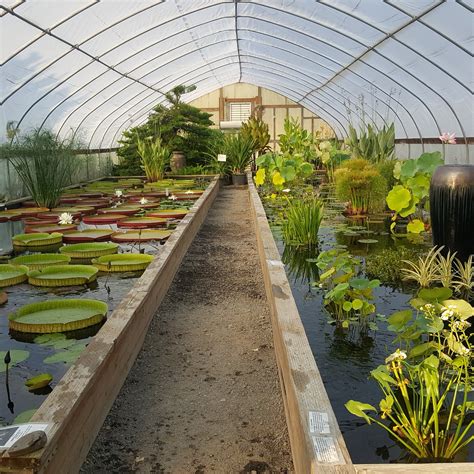 Hughes Water Gardens - All You Need to Know BEFORE You Go (2025)