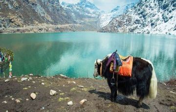 Amazing 8 Days 7 Nights Lachung Tour Package | Gangtok, Lachung, Lachen ...