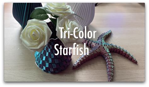 Tri-Color Rainbow Articulated Starfish | 3D Print Stick XL