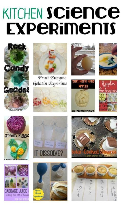 Science Experiments in the Kitchen 的图像结果