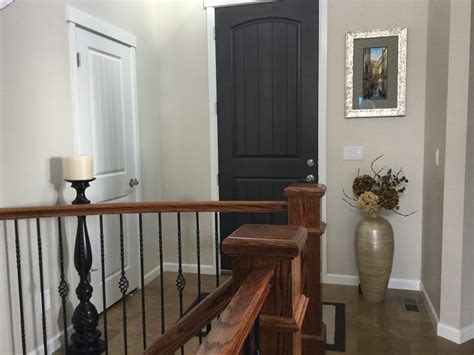 Sherwin Williams Black Fox: Paint Color Review