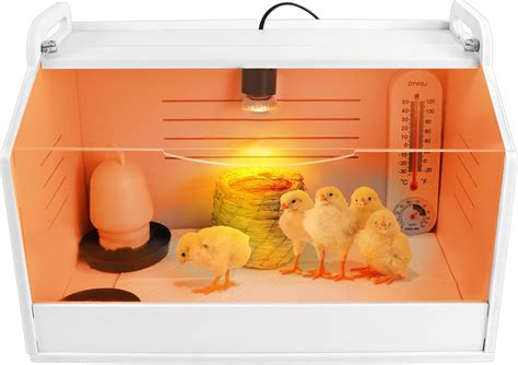 Aowoil Chick Brooder Brooding Box for Chicks/Parrot/Duckling/Kittens ...
