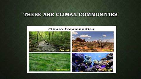 Climax community presentation.pptx