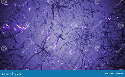 Neural Process Video Animation 的图像结果