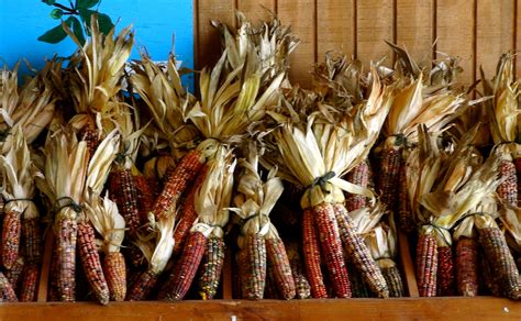 Family Fun: Apple Picking At Seven Ponds Farm In Water Mill! - KDHamptons