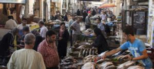 Gender Strategy for CGIAR livestock and fish research aims for ...
