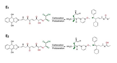 Mécanisme de l'Élimination (E1 vs E2) - Exercice corrigé