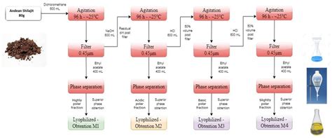 Scaling the Andean Shilajit: A Novel Neuroprotective Agent for ...