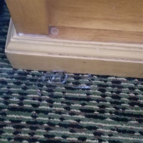 STUDIO 6 KILLEEN, TX - Hotel Reviews, Photos, Rate Comparison - Tripadvisor