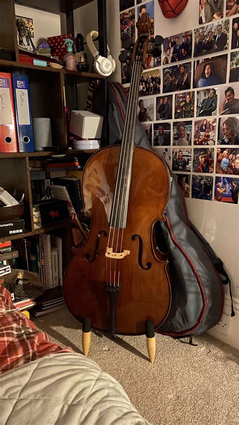 Cello String Set Up 的图像结果