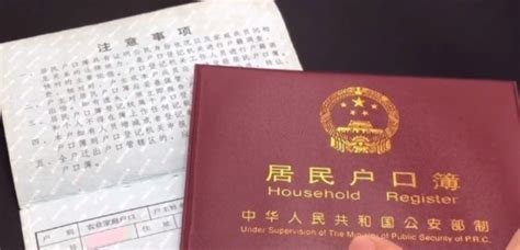 海外中国公民电子护照照片让总领馆“蓝瘦香菇”