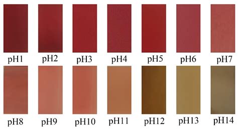 Development of Smart Films of a Chitosan Base and Robusta Coffee Peel ...
