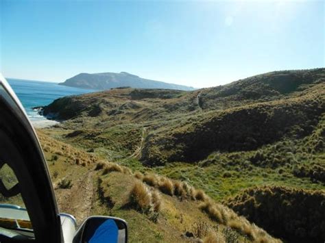 Sam's Peninsula Off Road Tours. (Dunedin) - All You Need to Know BEFORE ...